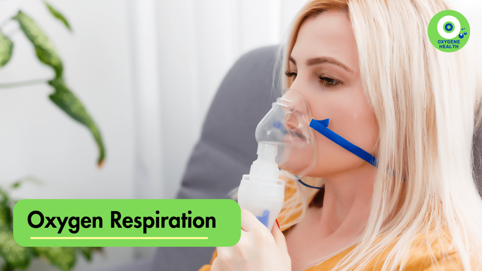 The Breath of Life: Understanding Oxygen in Respiration and Its Role in ...